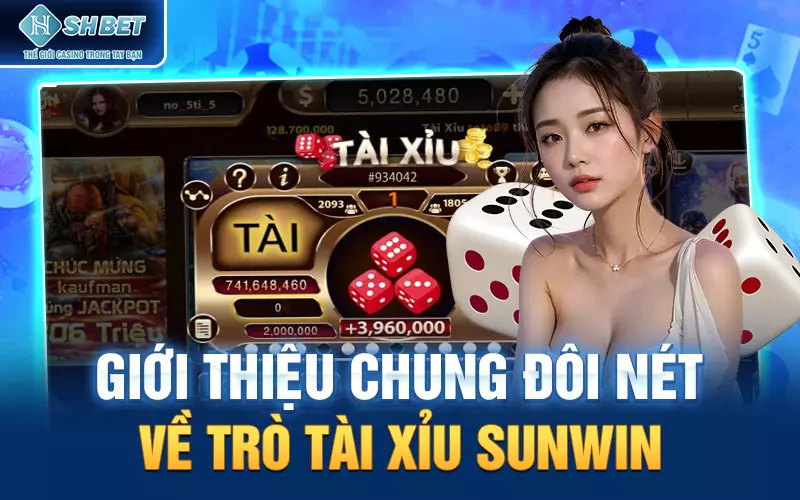 Cách chơi tài xỉu sun win