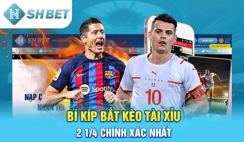 Bí kíp bắt kèo tài xỉu 2 1/4 chính xác nhất