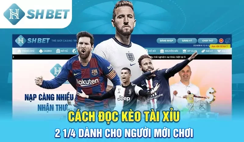 Cách đọc kèo tài xỉu 2 1/4 dành cho người mới chơi