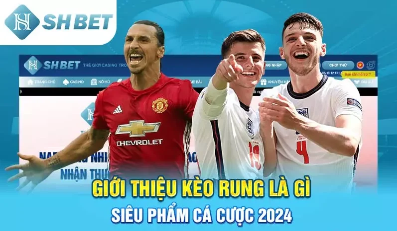 Giới Thiệu Kèo Rung Là Gì - Siêu Phẩm Cá Cược 2024