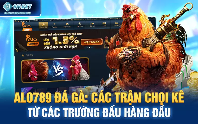 Alo789 đá gà: Các Trận Chọi Kê Từ Các Trường Đấu Hàng Đầu