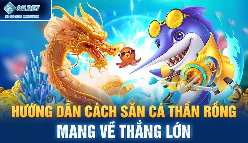 Hướng dẫn cách săn cá thần rồng mang về thắng lớn