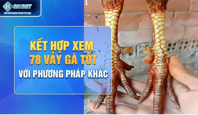 Kết hợp xem 78 vảy gà tốt với phương pháp khác