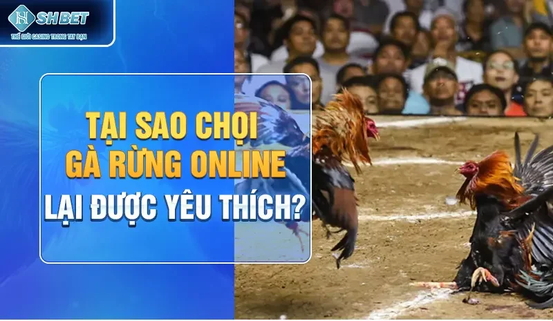 Tại sao chọi gà rừng online lại được yêu thích?