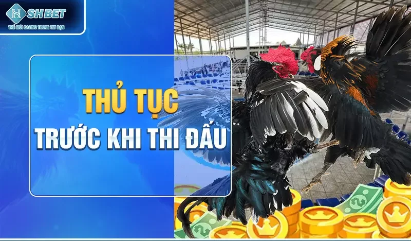 Thủ tục trước khi thi đấu